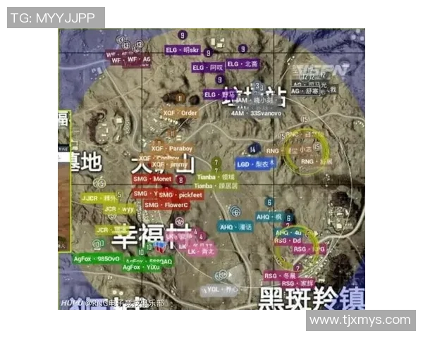 深入分析RNG与TES赛后复盘展现出的实力差异与战术对比